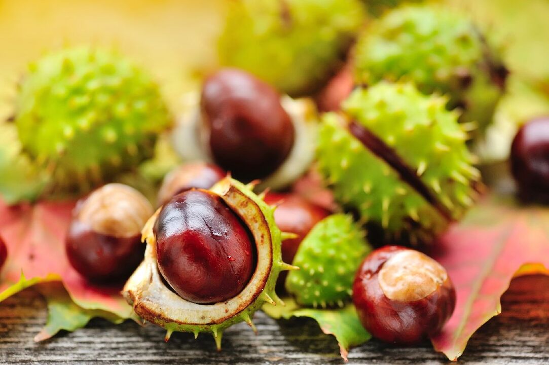 Päerdkastanie fir chronesch Prostatitis